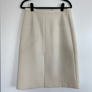 J. Crew skirt